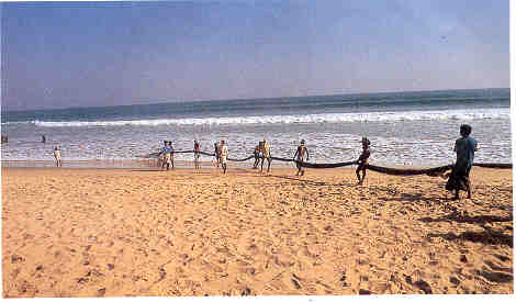 The Beaches