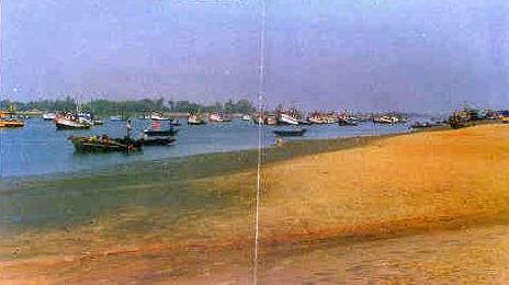 Mahanadi river